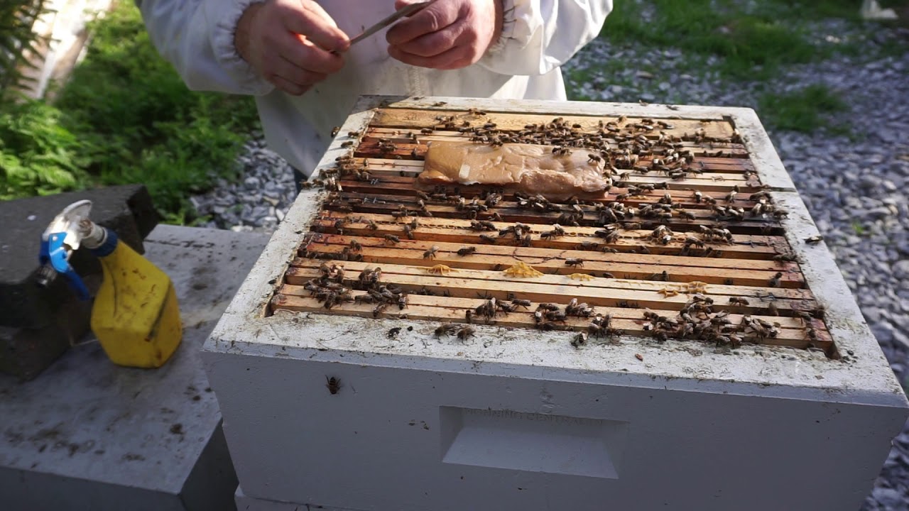 RESULTAT VED SAMMENSLÅING AV BIKUBER.