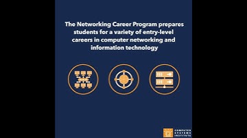 Networking Career Program