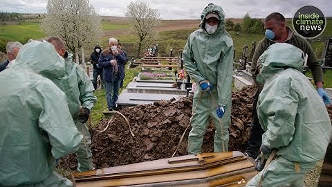 Zoonotic Diseases Like Covid-19 Are On The Rise