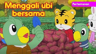 MENGGALI UBI BERSAMA AYAH FLAPPIE I Kartun Anak Bahasa Indonesia I Shimajiro Bahasa Indonesia