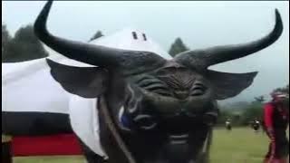 BANTENG TARUNG - PENCAK SILAT DAN BANTENGAN (Official Video)