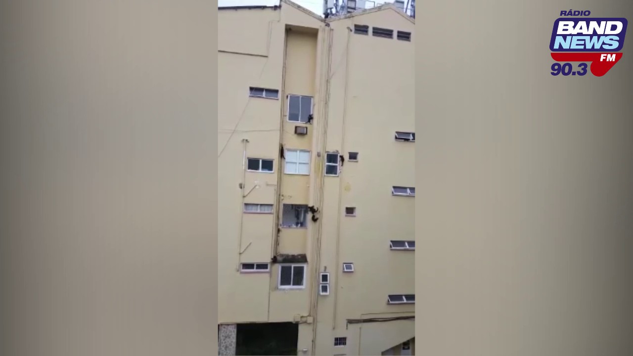Macacos invadem apartamentos no Jardim Botânico - YouTube