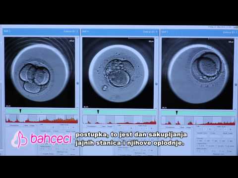 Video: Koja je embrionalna faza prenatalnog razvoja?