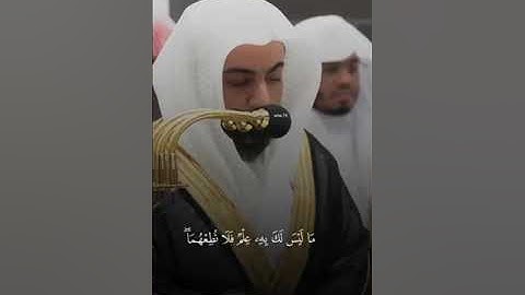 الشيخ الوليد الشمسان _ سورة لقمان