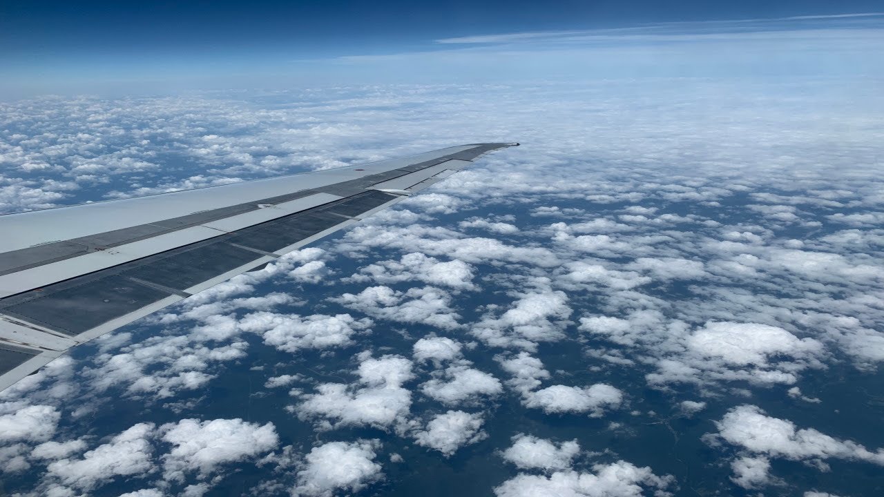 Delta Air Lines | Full Flight | Buffalo to Atlanta | McDonnell Douglas MD-88