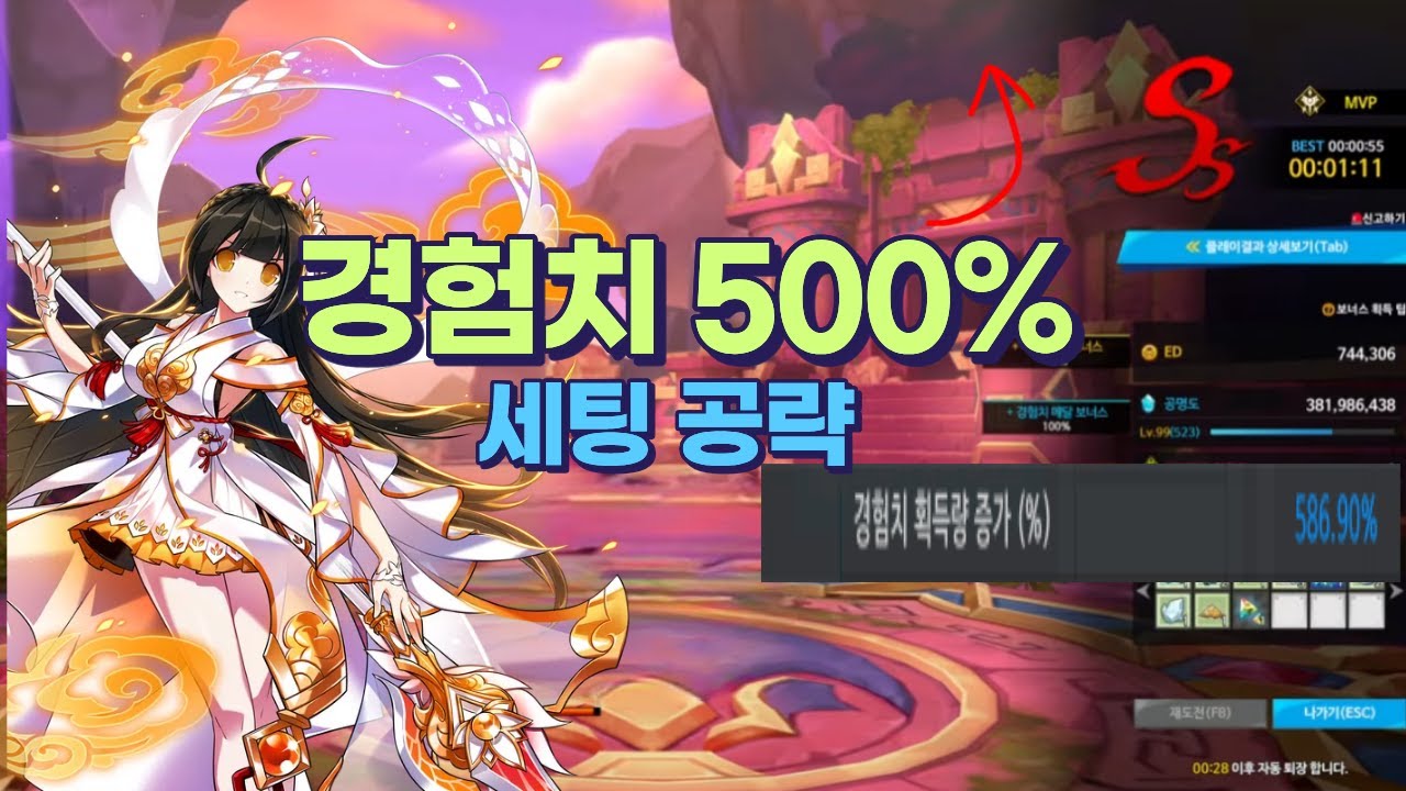 엘소드 경험치 세팅 완전 공략