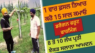 Dragon Fruit Farming | 8 ਤੋਂ 10 ਲੱਖ ਕਮਾਈ 1 ਏਕੜ ਚੋਂ ਗਰੰਟੀ ਨਾਲ | ਇੱਕ ਵਾਰ ਲਾਓ ਤੇ 15 ਸਾਲ ਕਮਾਓ #farming