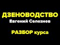 ДЗЕНОВОДСТВО (Евгений Селезнев) – РАЗБОР обучающего курса с отзывами + ПОДАРОК