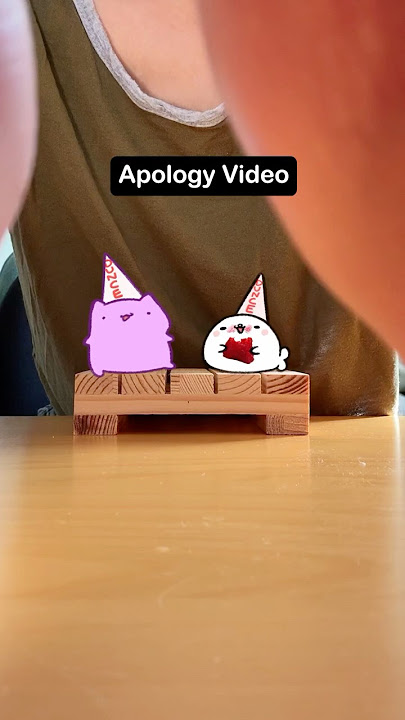 I’m sorry. (A genuine apology video)