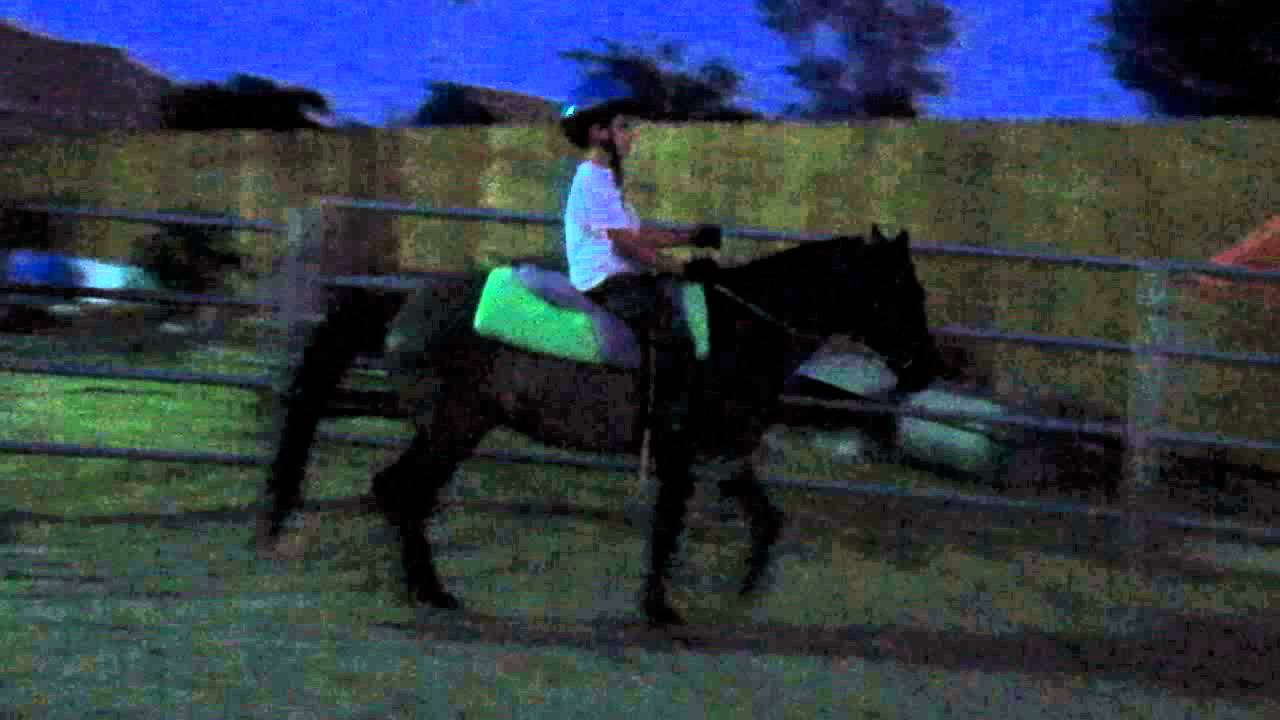 Chase, riding Chianti [Grulla Quarter Pony for sale] Norco, CA YouTube