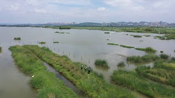 SW China nature reserve sees increase in migratory bird species