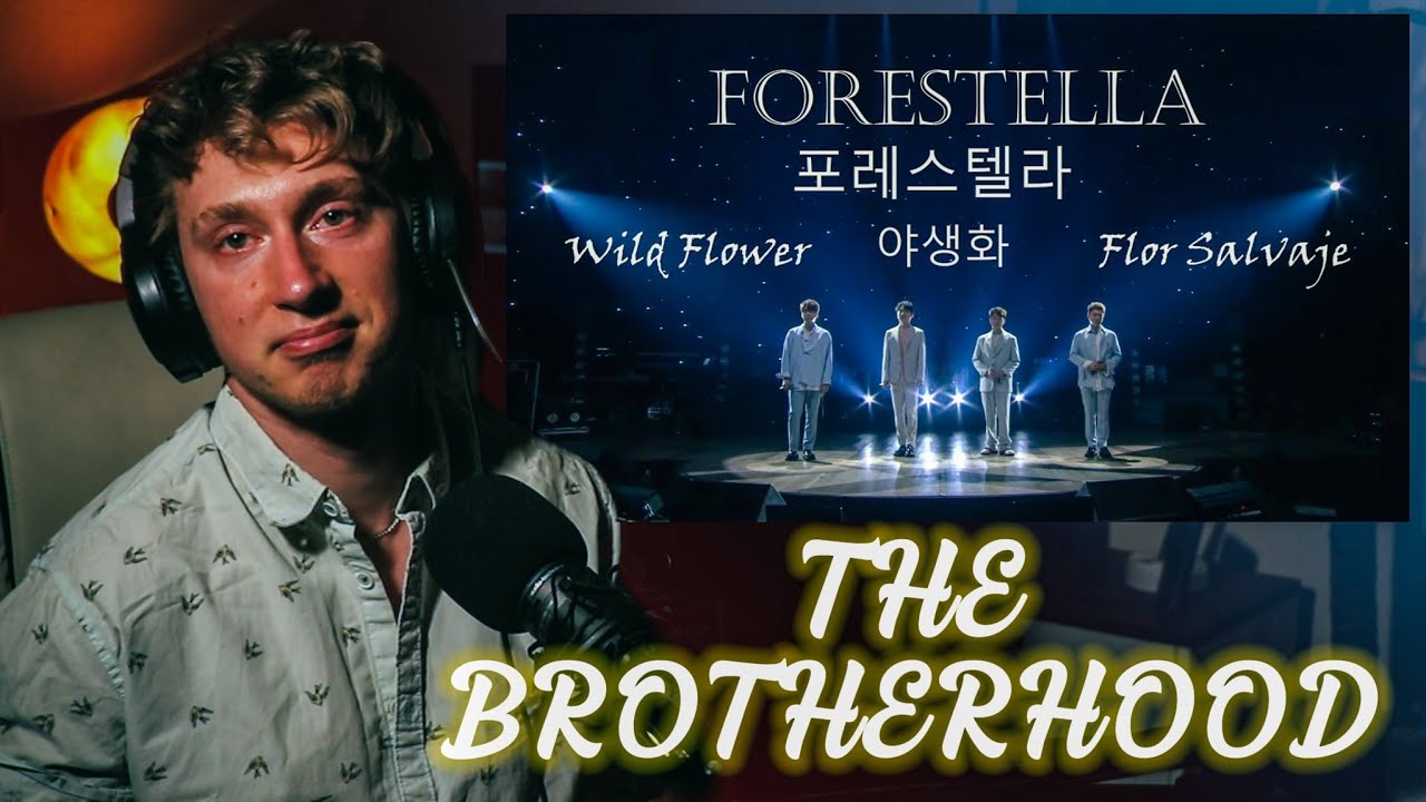 Forestella (포레스텔라) - Wildflower | Beautiful, Strong Brotherhood! | Richards Infinity Reacts
