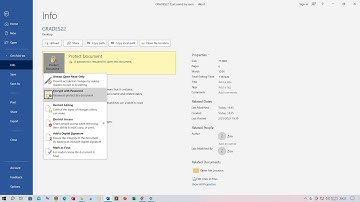 How to Password Protect Your Microsoft Word, Excel, PowerPoint Files | Zimist Coded #zimistcoded