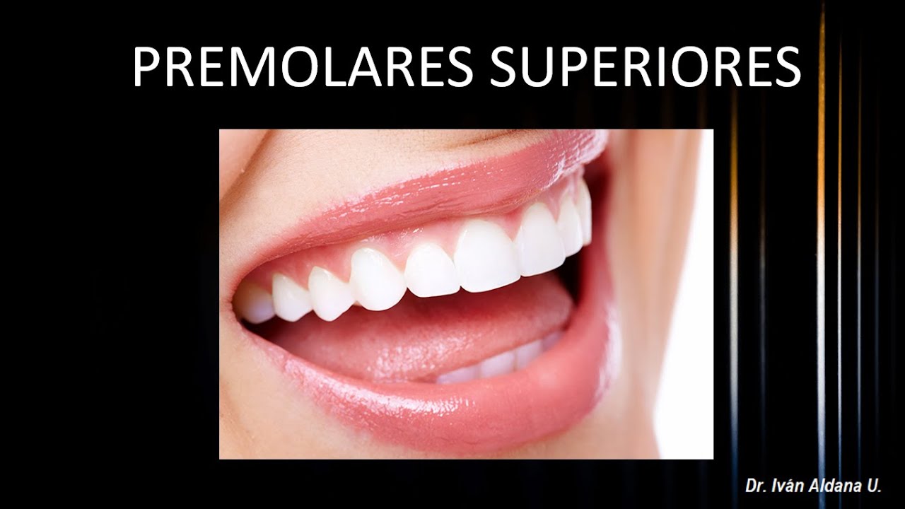 ANATOMÍA DENTARIA: Unidad 2.4: Premolares superiores (parte 1)