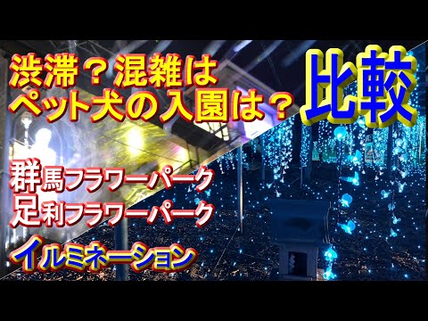 【どっち行く】足利フラワーパークvs群馬フラワーパーク！2022-2023イルミネーション比較！入園料の違い、ペット犬連れはどう？高速道路からのアクセスは？混雑や渋滞は？行くなら、どっちがいいの？