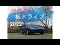 【だらだらドライブ】2022年浜名湖周りの桜とデルソル撮影【桜満開】