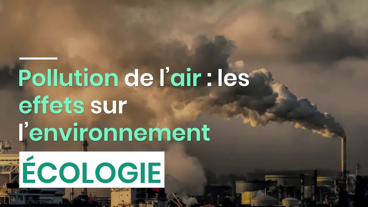 Pollution de l'air : les effets sur l'environnement