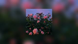 dark red (sped up)