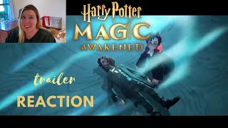 Harry Potter Magic Awakens trailer and new sorting hat song reaction