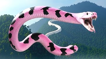 Part 7 - A Girl Alone Surviving in the Forest | Giant Python vs Crocodile Battle in the Wild Jungle