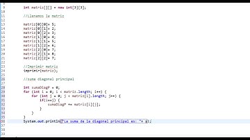 Matrices en Java, suma de diagonales principal y secundaria