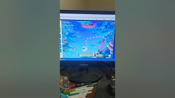 Abcmouse. com | Learning path Coral reef ost