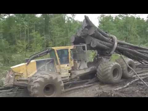 SWAMP LOGGERS NC