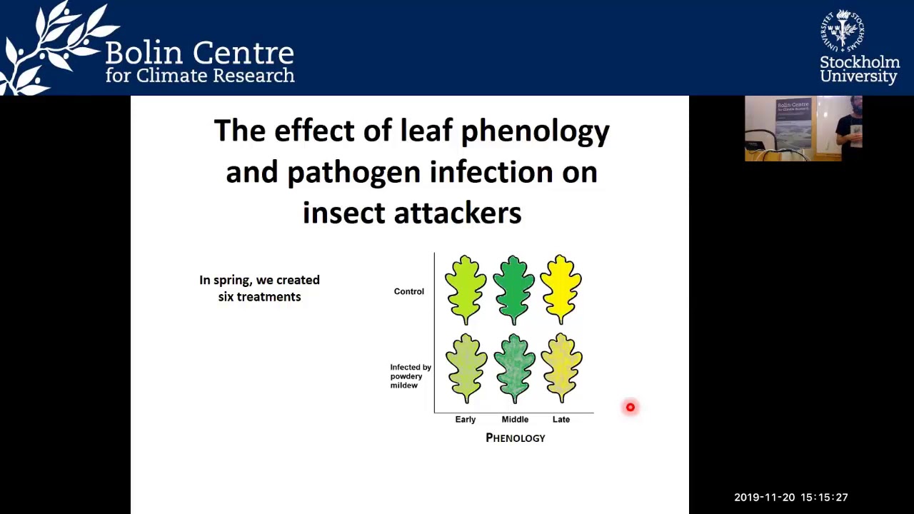 Bolin Days  2019 day 1