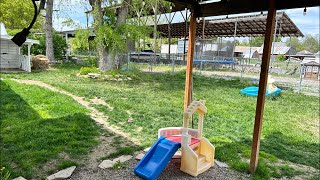 Cleaning Up The Yard For The Dogs & Kids