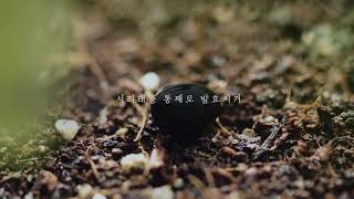 Hanyul Seoritae Cream Tv Commercial Ad 2018, Song By Bruno Leroux