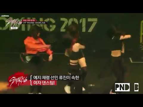 JYP Trainee Girls Team (ITZY) Dance Performance on Stray Kids