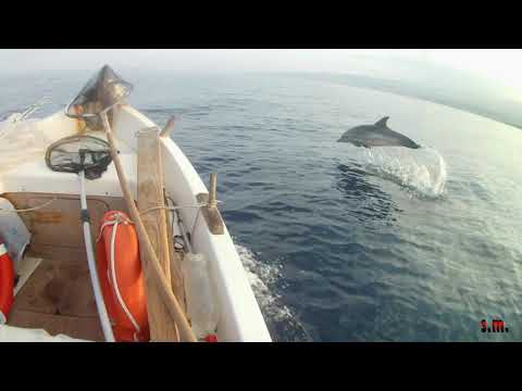 Pesca traina punta Pellaro Reggio di Calabria