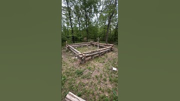 Building a Massive Log Cabin by Hand 3 MONTH IN #logcabin #cabin #bushcraft #outdoors #survival