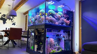 GERMAN REEF TANKS - 850 liter Masterpiece with a 