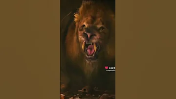 خوف الخوف الموت الموت 
