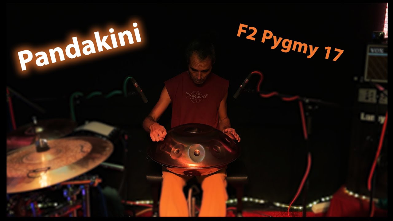 Pandakini - F2 Pygmy 17