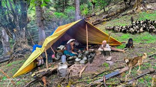 Himalayan Village life||The Incredible Story oF Nepal's Last Nomads||All Season Compilation Video||