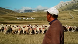 Vita da pastori
