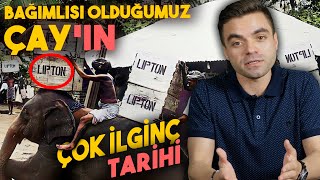Çay Hakkında Hiç Duymadıklarınız - Çay'ın Tarihi