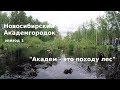 #45 Россия, Новосибирсий Академгородок: Академ - это походу лес.