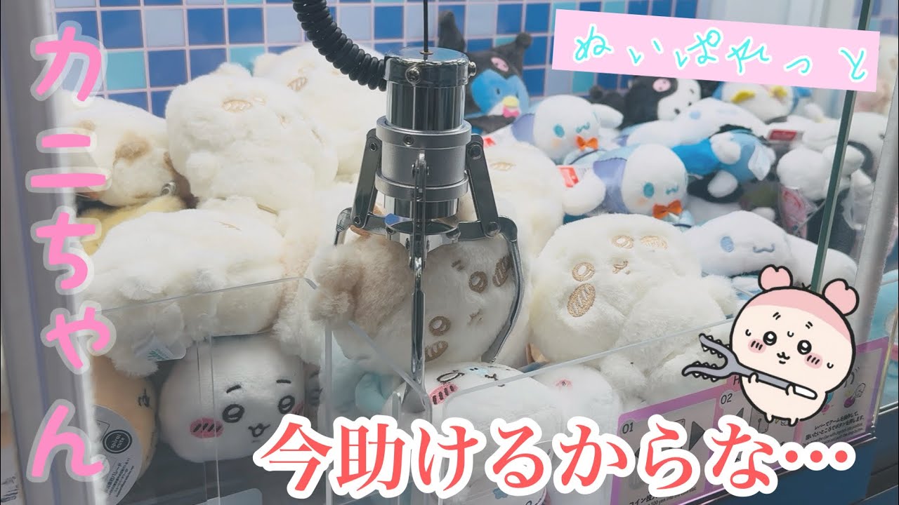 【ちいかわ】上司の金で古本屋 カニちゃんのマスコットを狙うオタク 【ちいかわクレゲ/ぬいぱれっと】