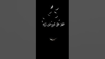 قران كريم افمن شرح الله صدره للاسلام #Quran karim  #quranhearts #مصر #الجزائر #السعوديه #العراق #قطر
