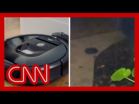 Doorbell camera captures robot vacuum's escape