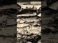Boston Molasses Flood 🌊🌊🌊 #history #documentary #weird #facts #flood
