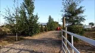 Little Utah Farm : 1955 Allis Chalmers WD 45 Pulls Hay Wagon To Get Ice Cream