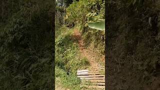 Download Lagu Pudunan Edun Memang Menantang #shortsviral MP3