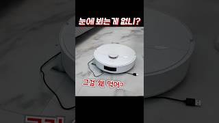 로청에 눈이 있다? 없다?