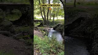 🇪🇸 Camino de Santiago- Pontevedra 🇪🇸