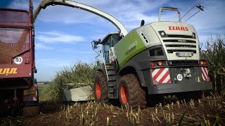 CLAAS Jaguar 850 häckselt Mais | 3x DEUTZ-FAHR  und CASE IH Puma 160 | NEW HOLLAND