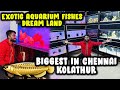 Kolathur's Biggest EXOTIC Fish Aquarium !! வண்ண மீன்கள் தமிழ் | DAN JR VLOGS